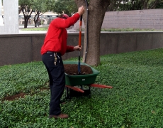 Chiropractic Tips to Prevent Injury While Gardening This Spring