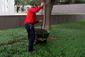 spring gardening chiropractic care