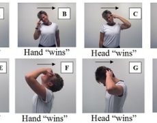 Neck Pain Exercise Options